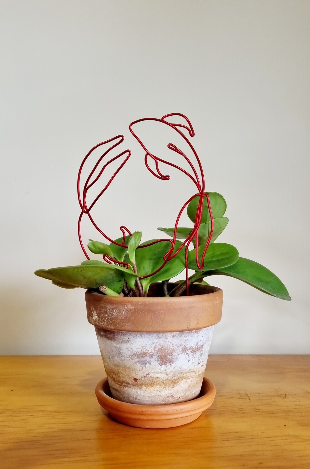“Go With the Grow” – Zodiac Plant Stake