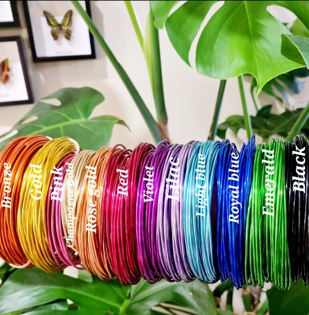 Ficus Off Plant Stake – A Hands-On Way to Say It with Style!