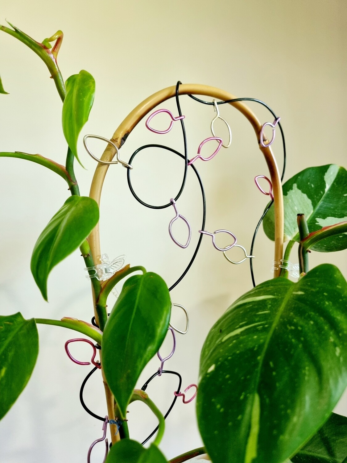 Christmas Lights - Bamboo U-cane Trellis
