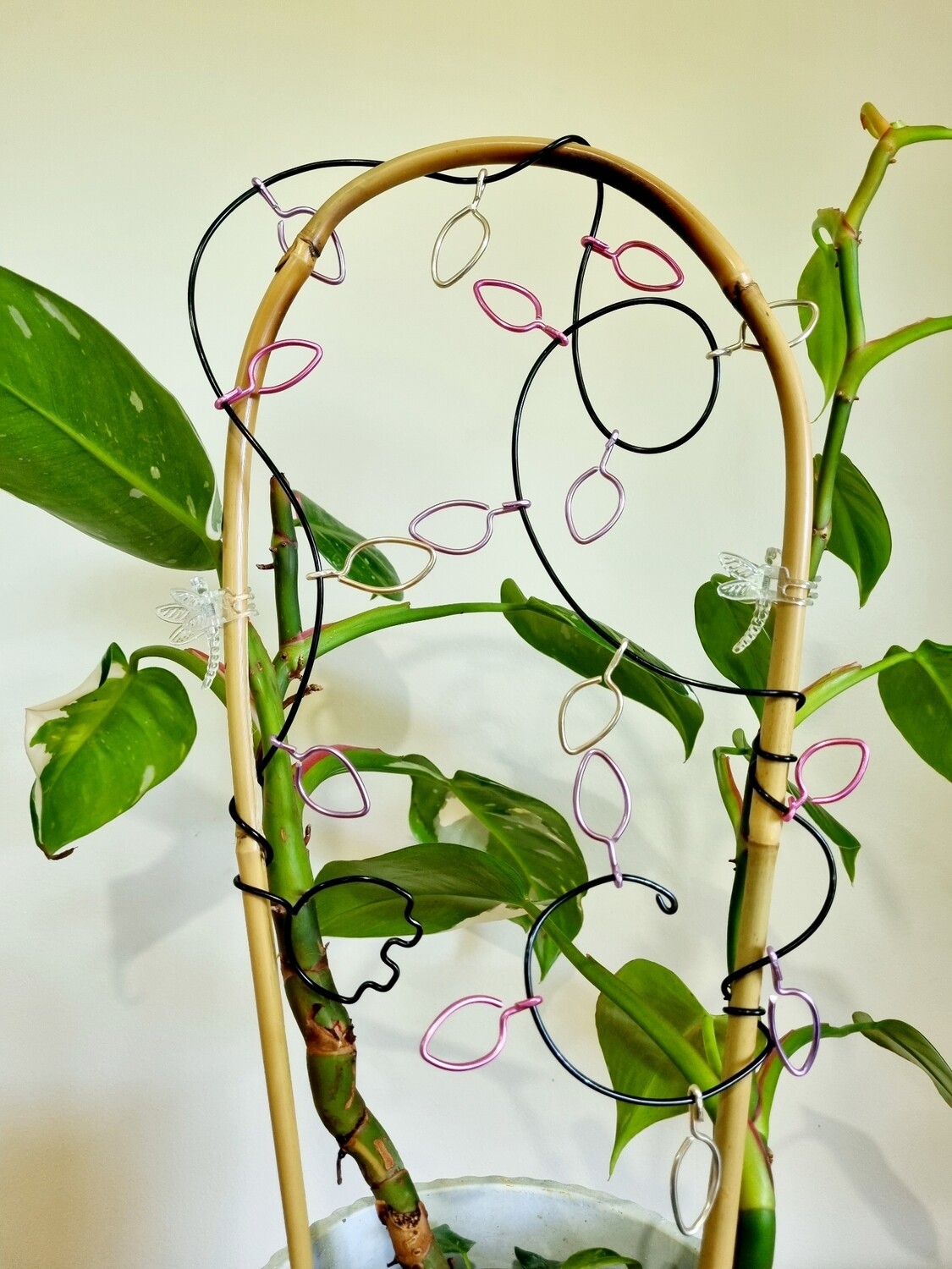 Christmas Lights - Bamboo U-cane Trellis