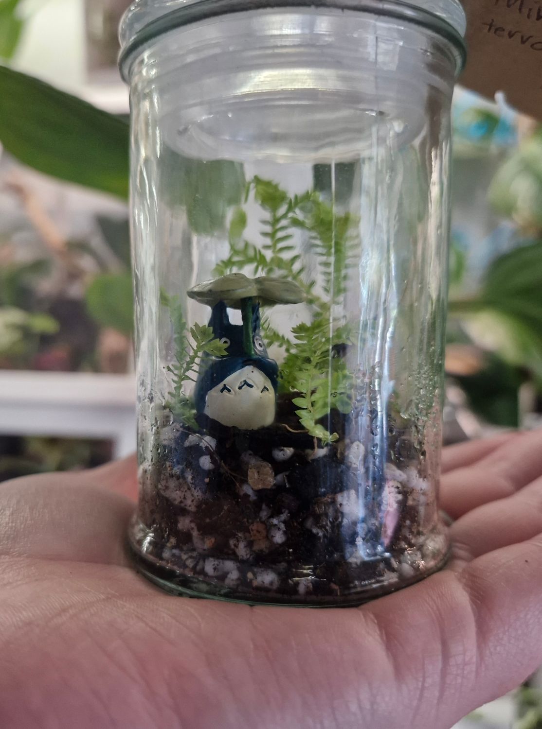 Blossom Terrarium - Mini