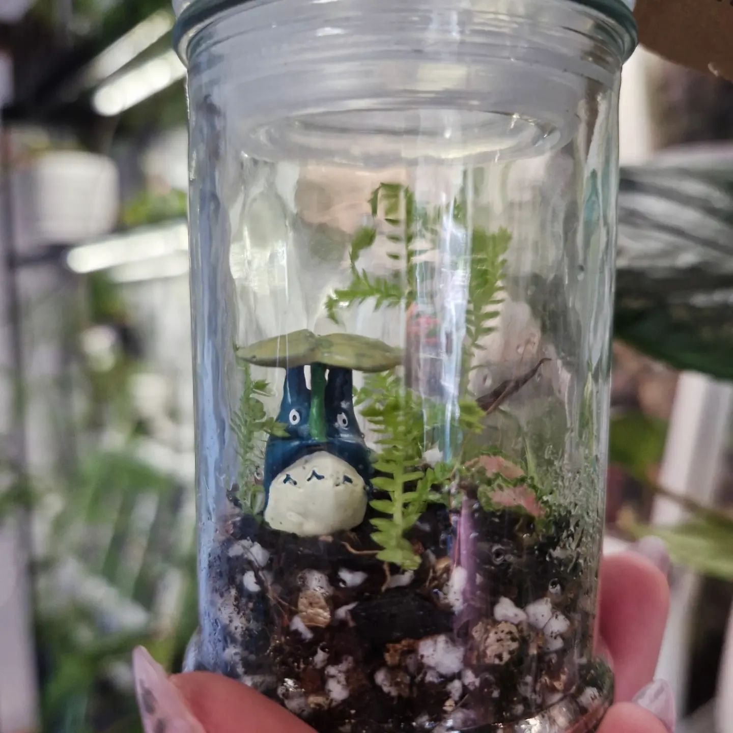 Blossom Terrarium - Mini