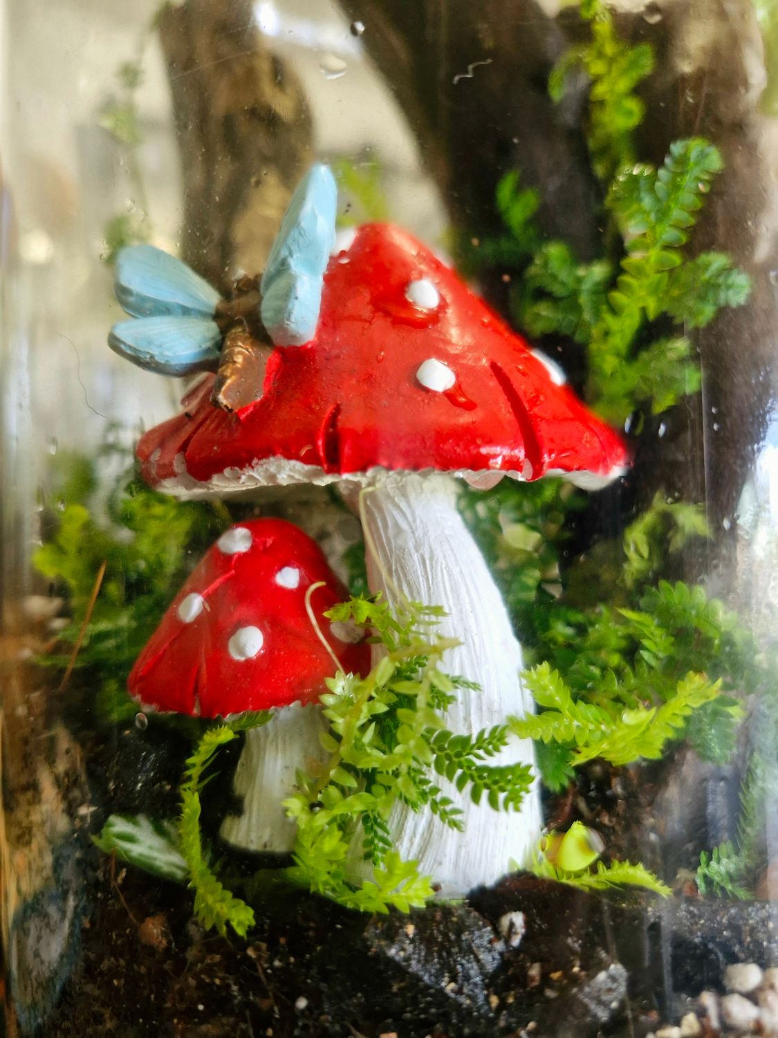 Secret Garden bioactive terrarium - Medium