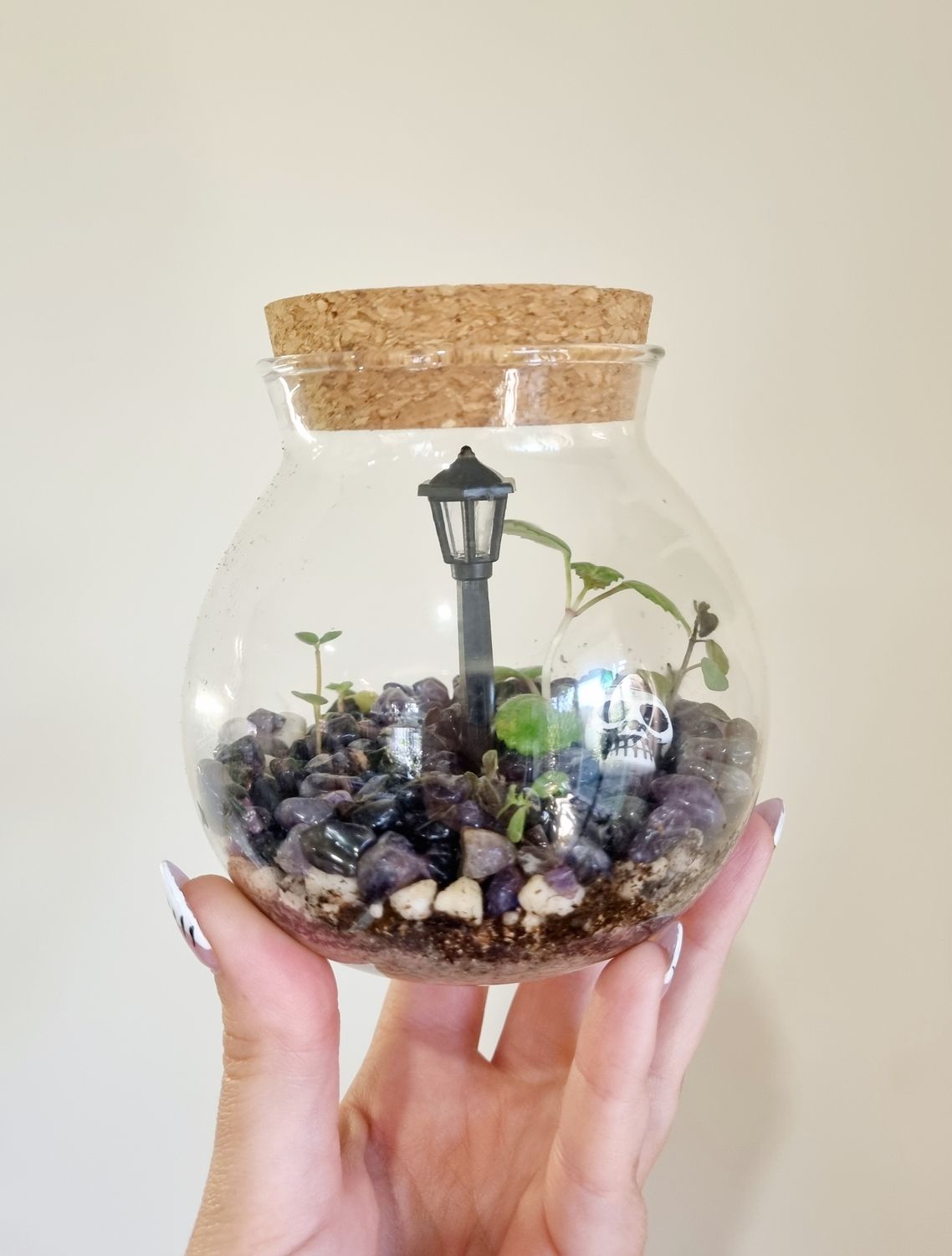Flora Terrarium - Little 