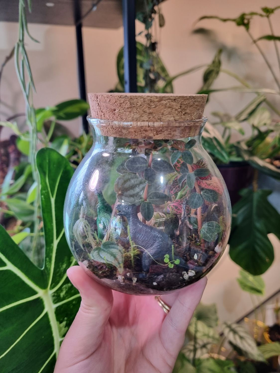 Flora Terrarium - Little 