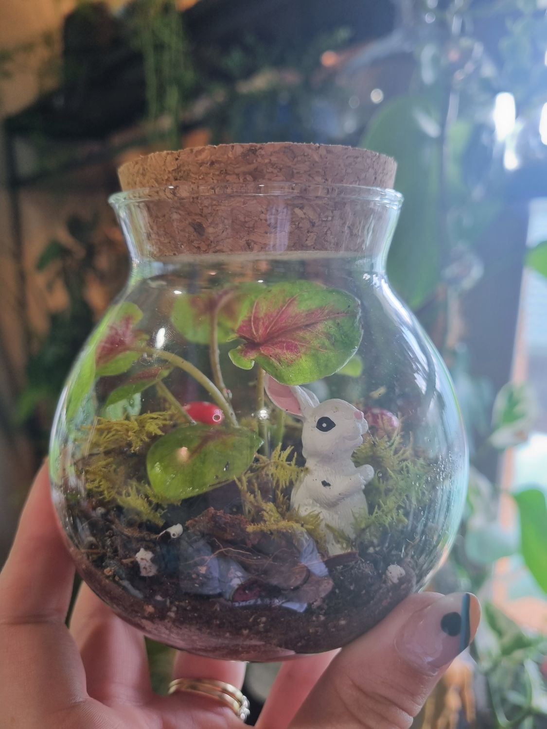 Flora Terrarium - Little 