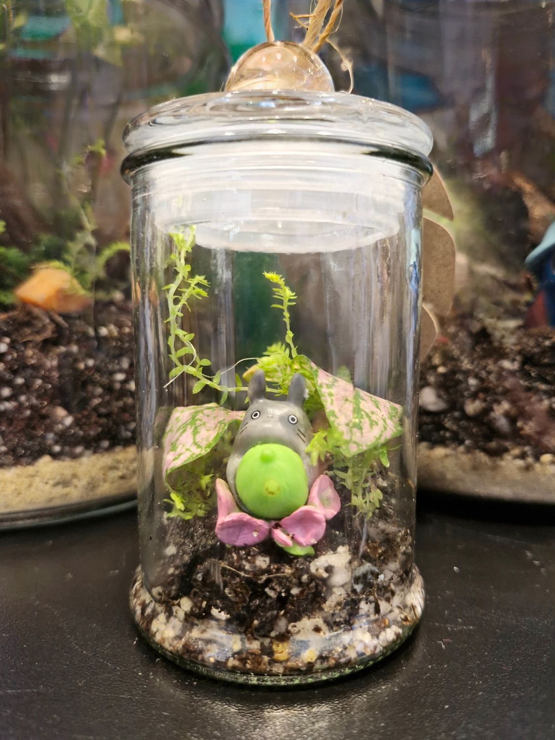 Blossom Terrarium - Mini
