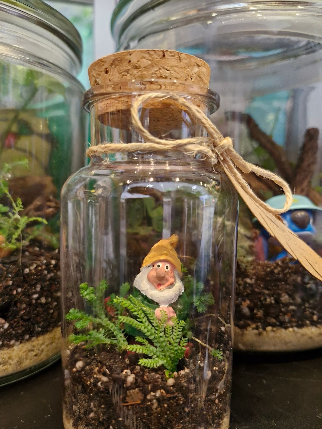 Tropical Terrarium - Mini
