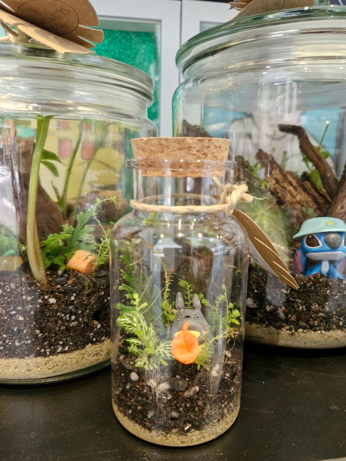 Tropical Terrarium - Mini
