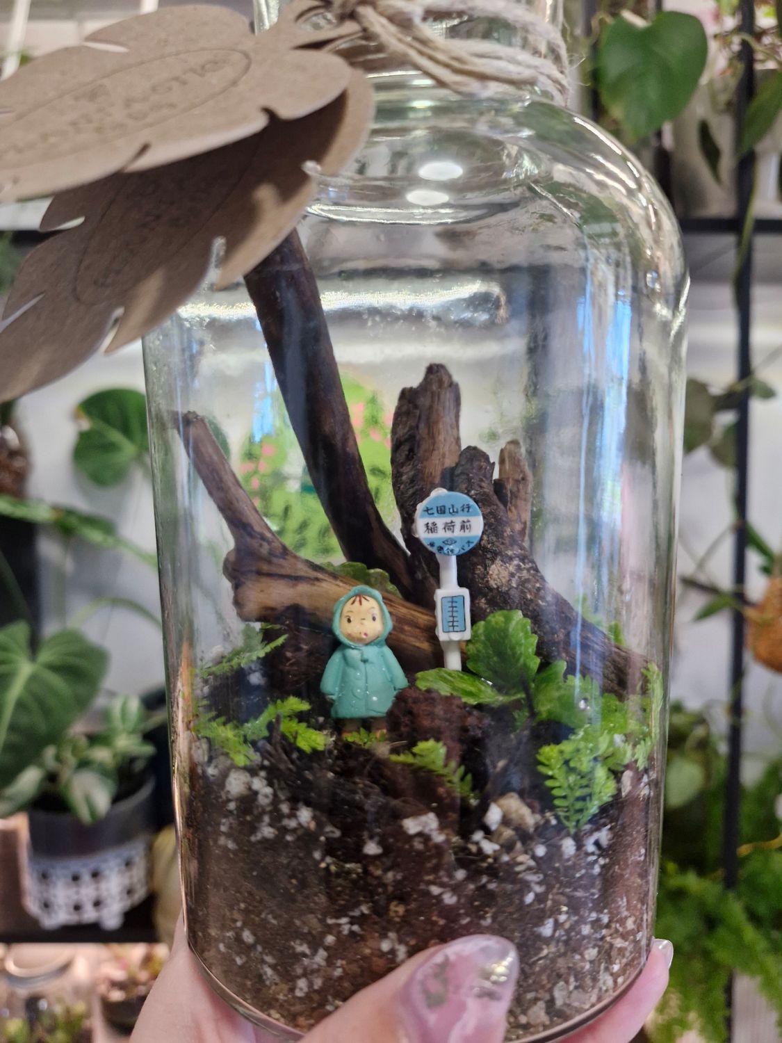 Tropical Bioactive Terrarium - Pocket