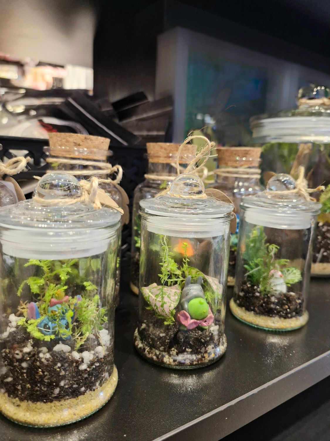 Blossom Terrarium - Mini