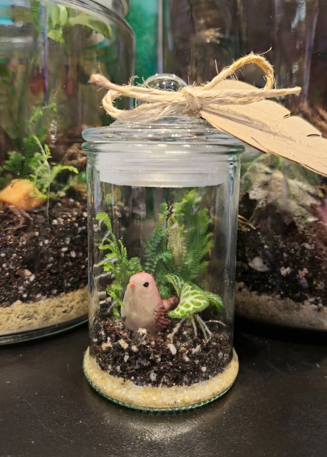 Blossom Terrarium - Mini