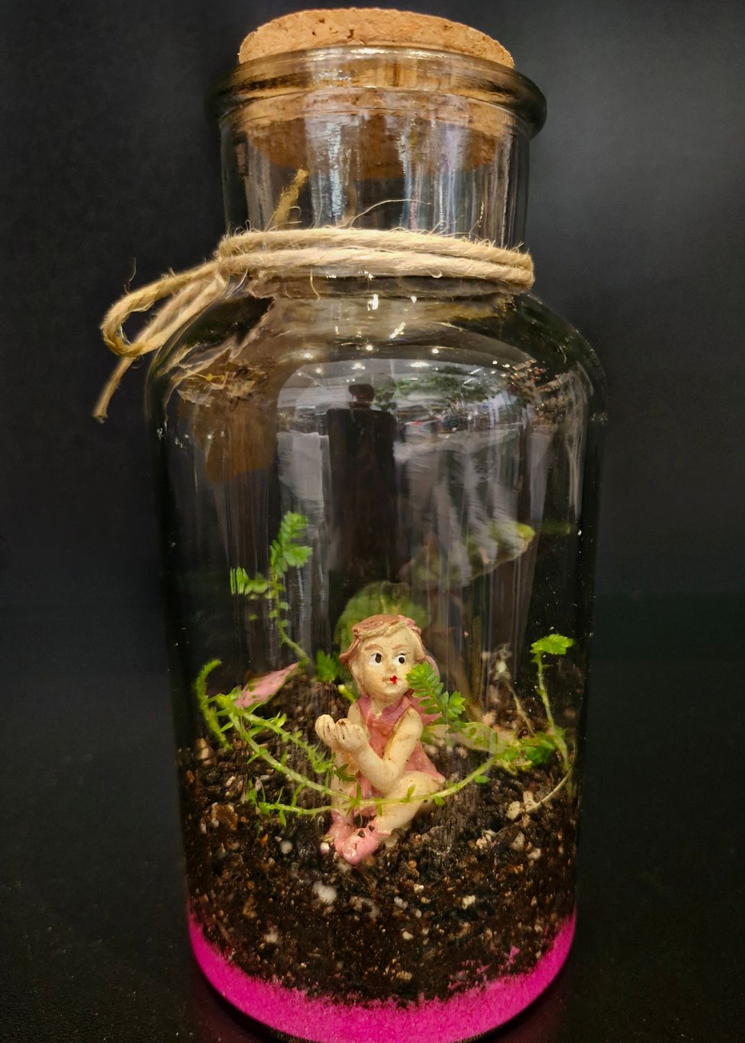 Tropical Terrarium - Petite