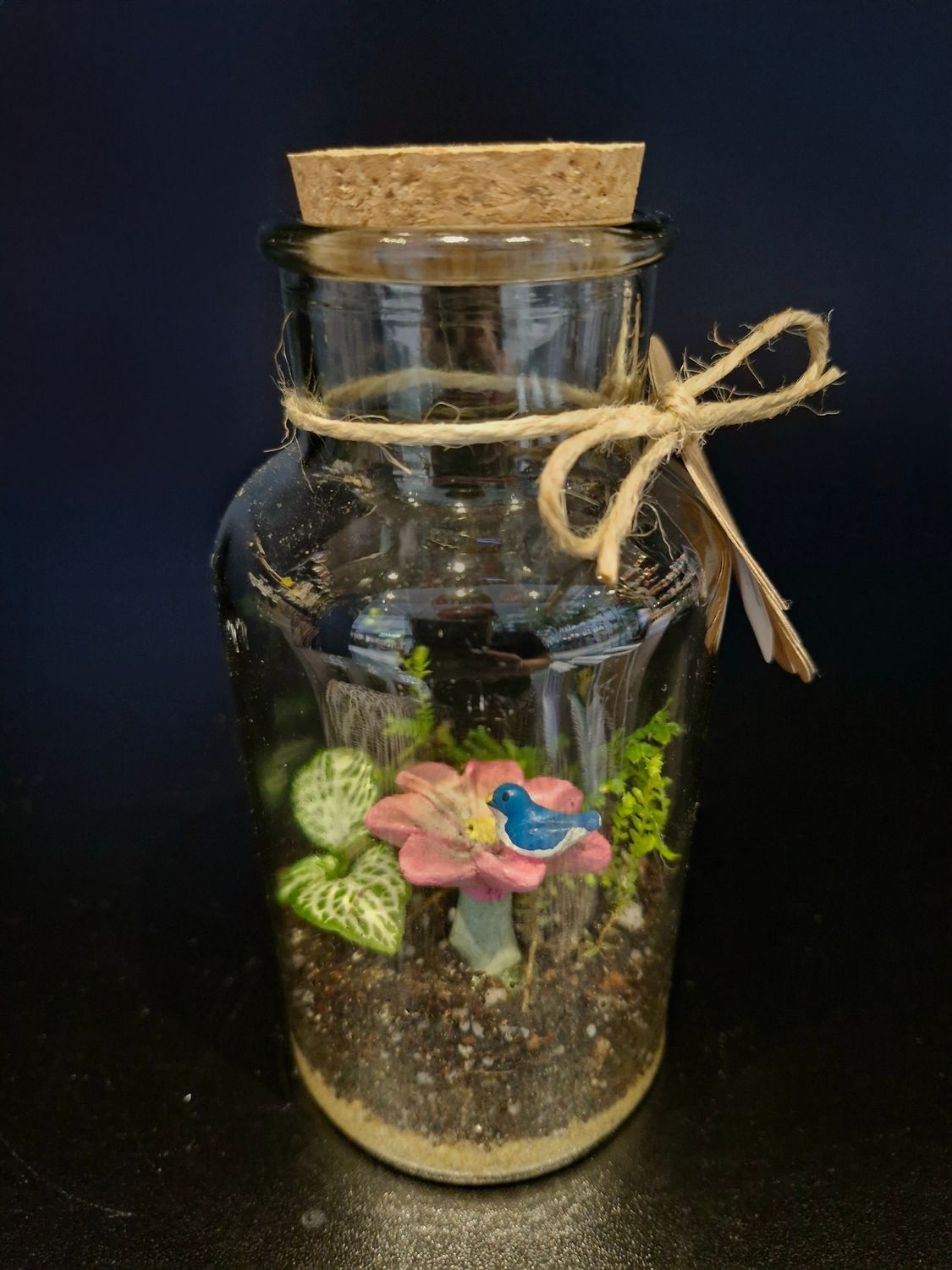 Tropical Terrarium - Petite