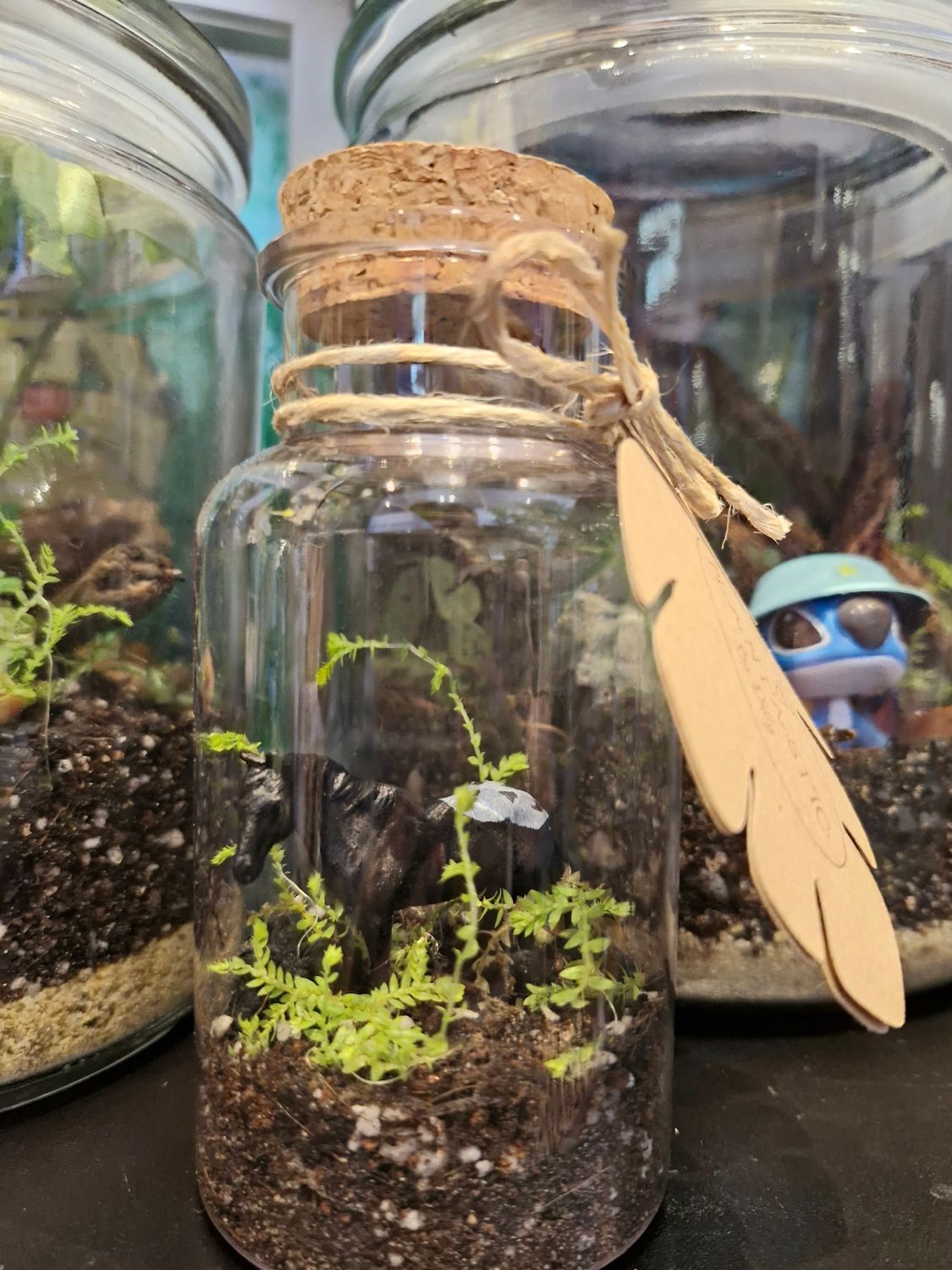 Tropical Terrarium - Mini