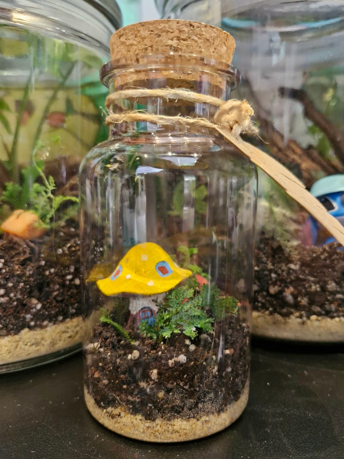 Tropical Terrarium - Mini