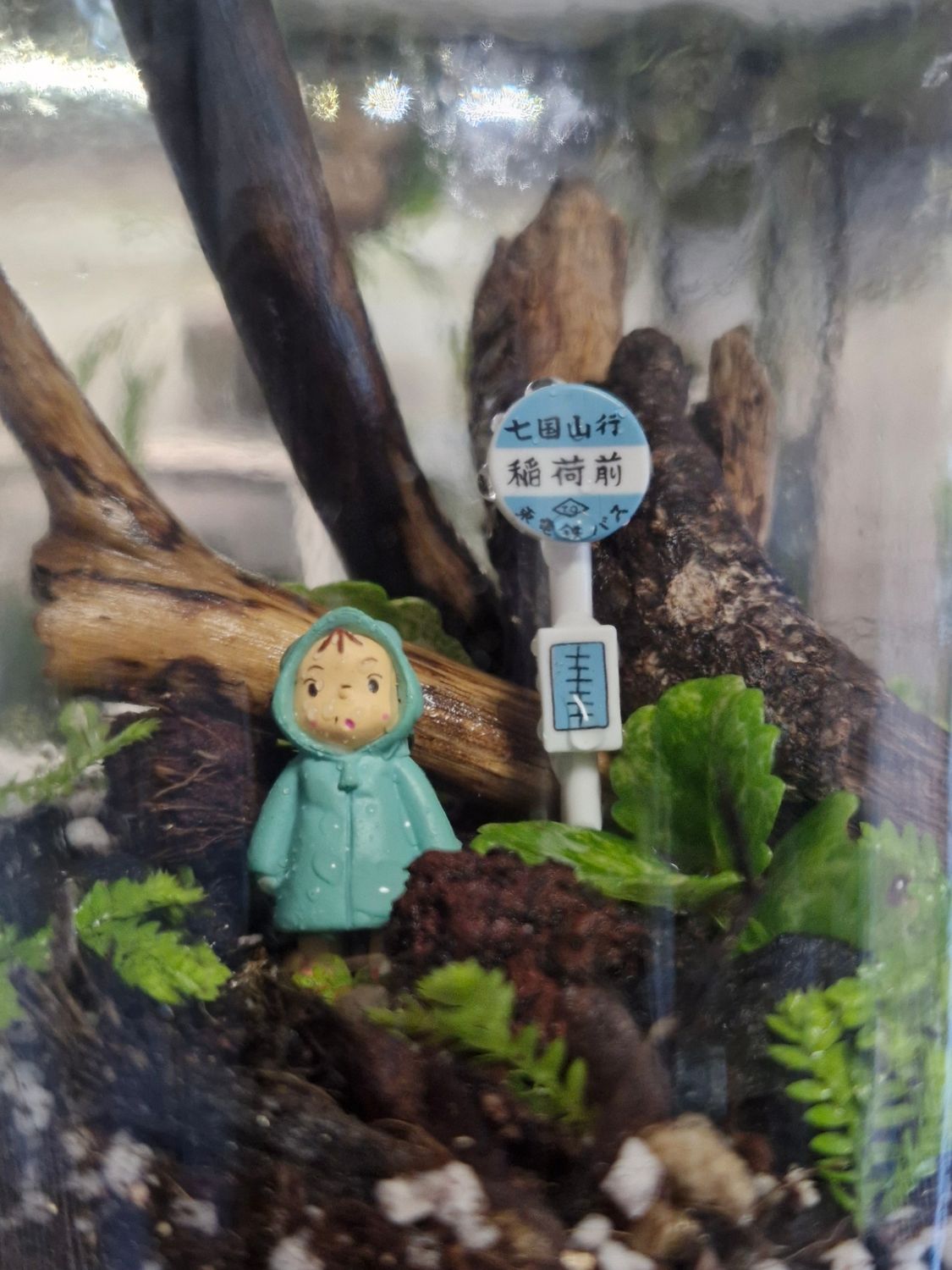 Tropical Bioactive Terrarium - Pocket
