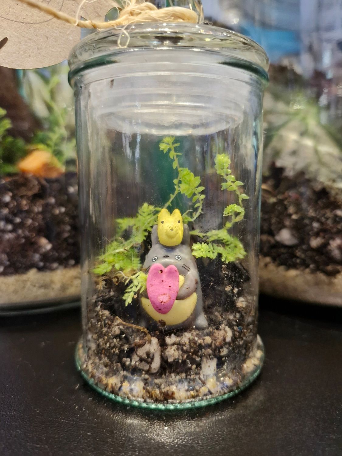 Blossom Terrarium - Mini