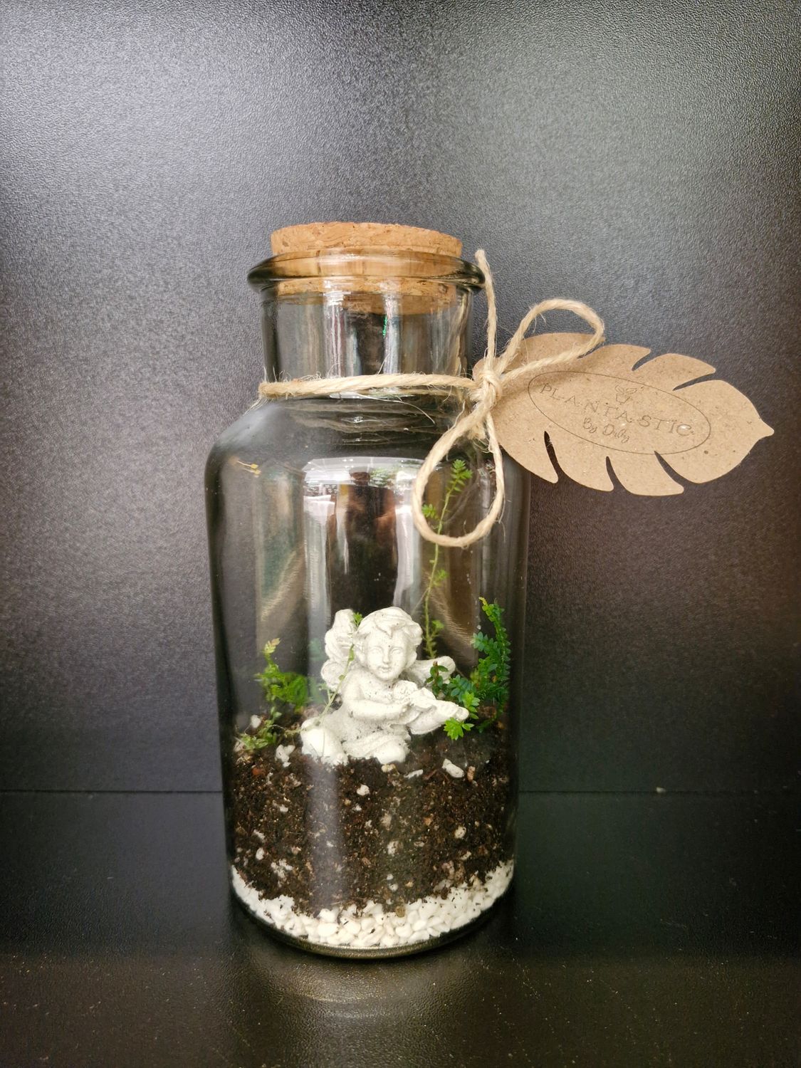 Tropical Terrarium - Petite