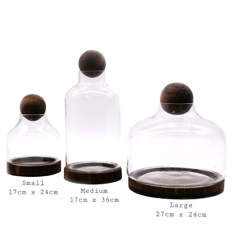 Secret Garden bioactive terrarium - Large