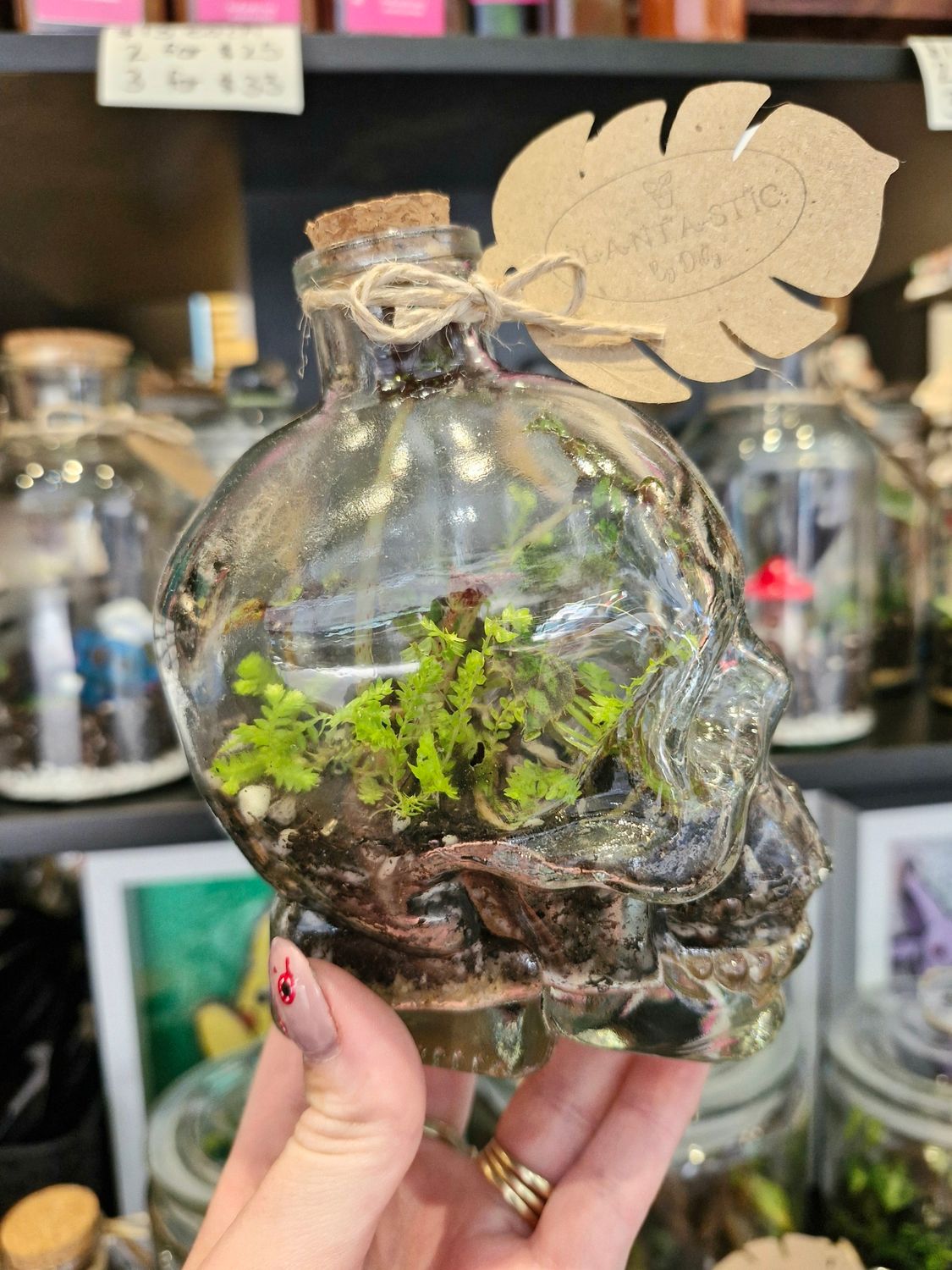 Skull Terrarium - mini