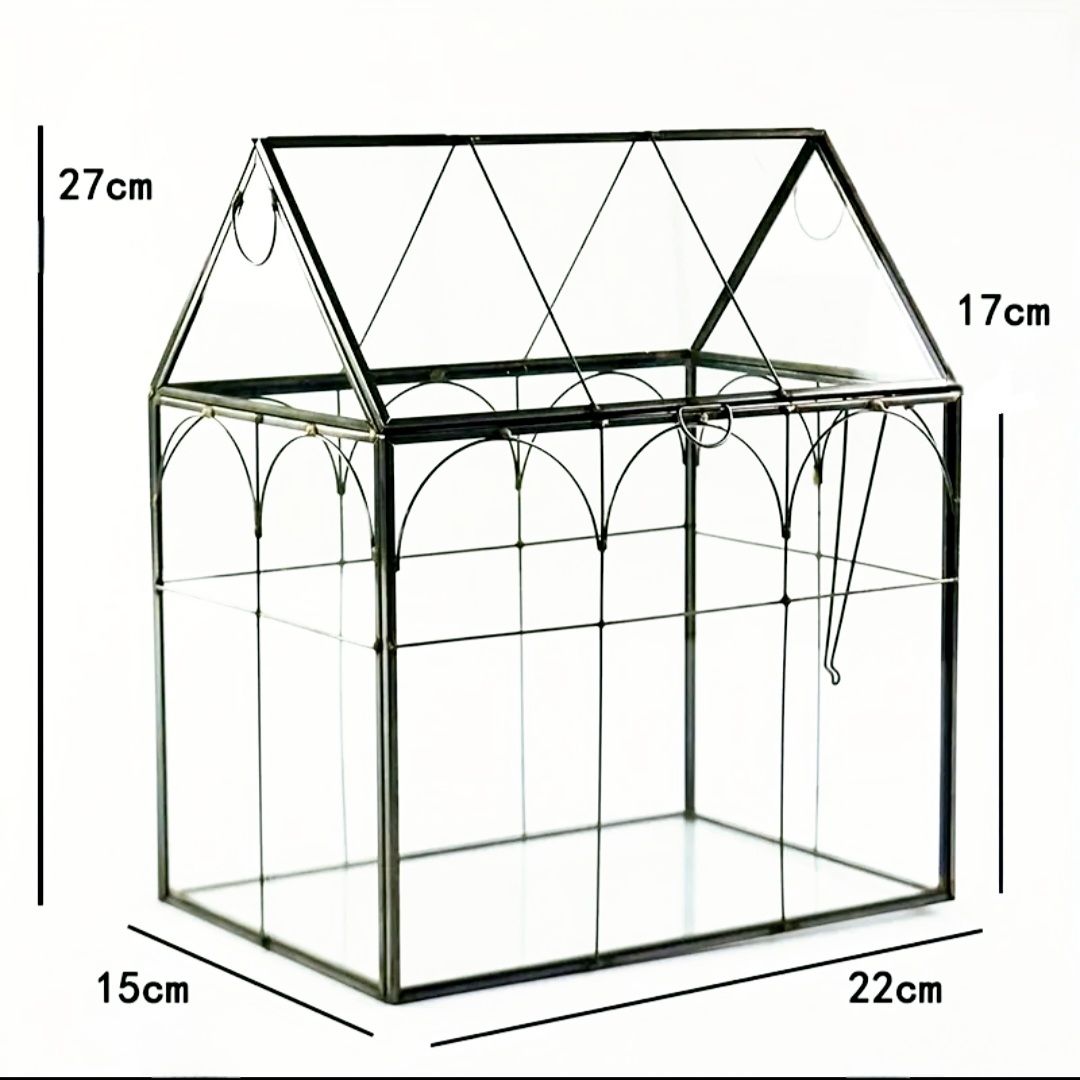 Greenhouse Bioactive terrarium - Large