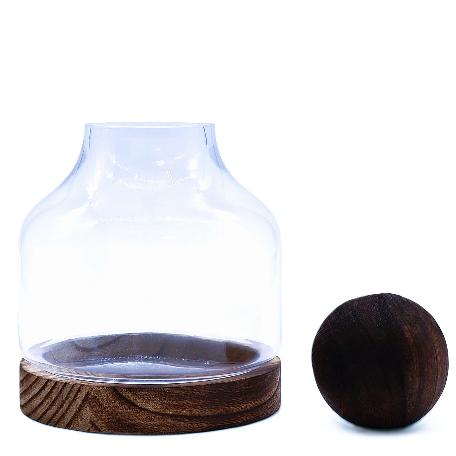 Secret Garden Bioactive Terrarium - small