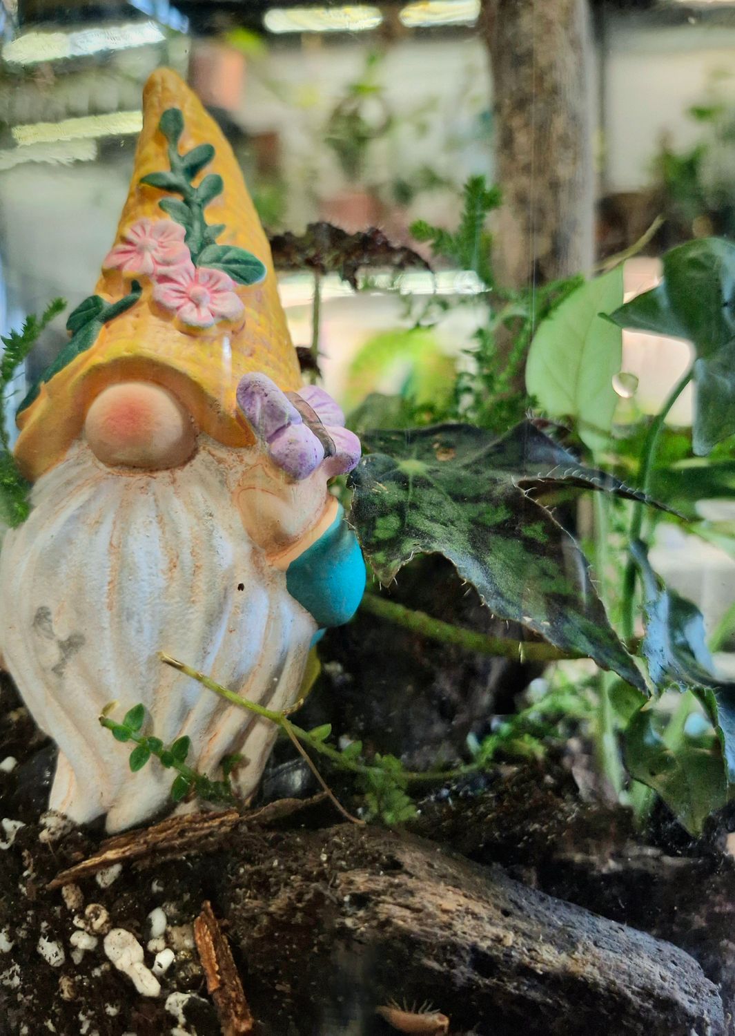 Secret Garden bioactive terrarium - Medium