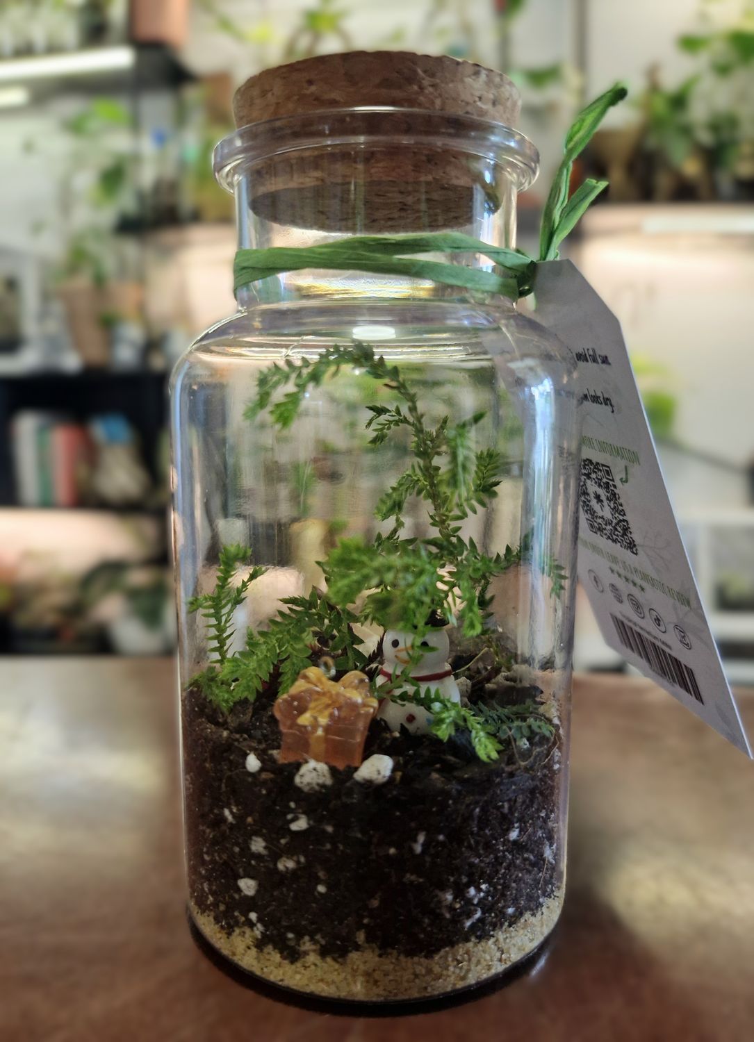 Tropical Terrarium - Mini