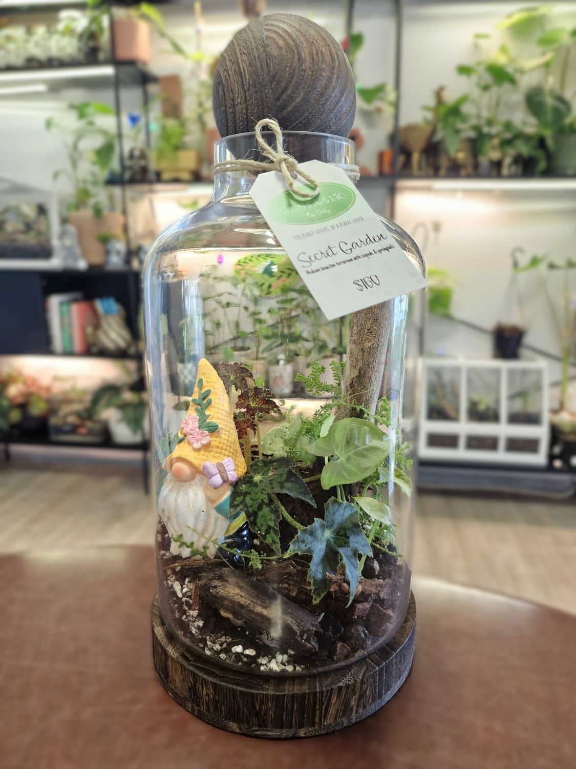 Secret Garden bioactive terrarium - Medium