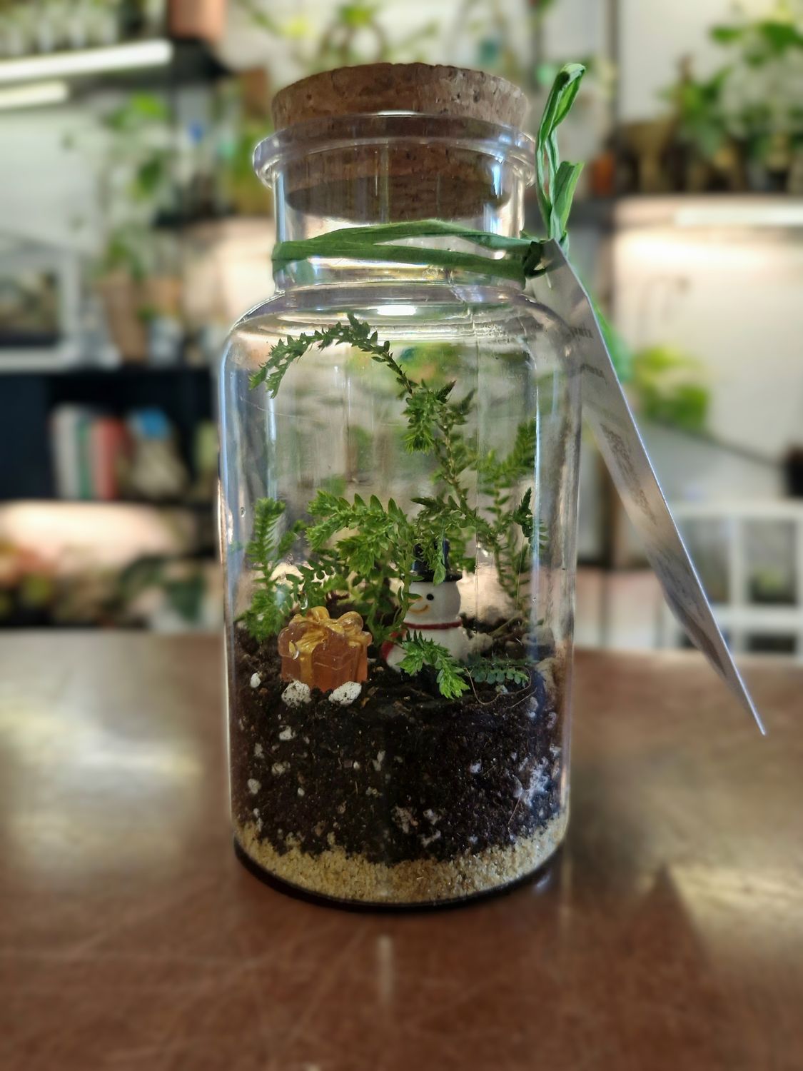 Tropical Terrarium - Mini