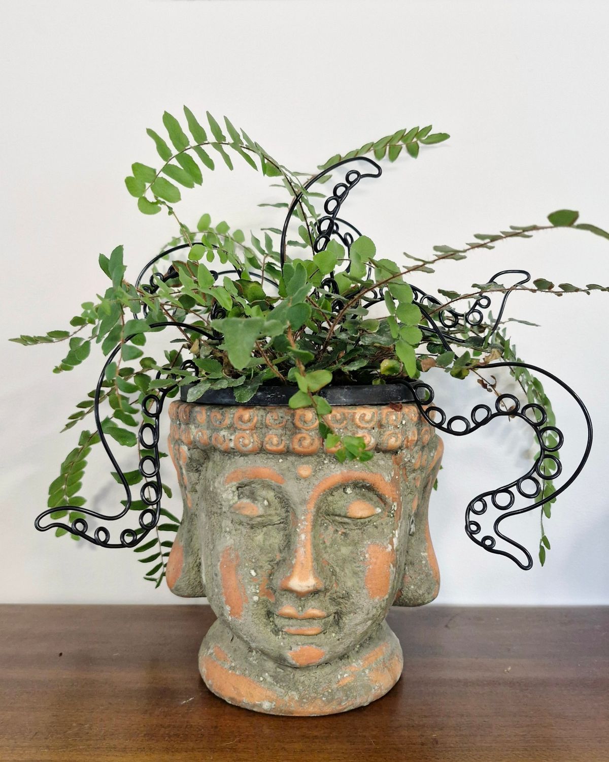 Octoplant Plant Stakes