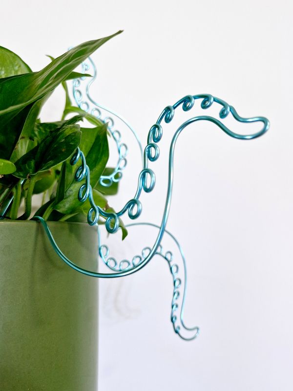 Octoplant Plant Stakes