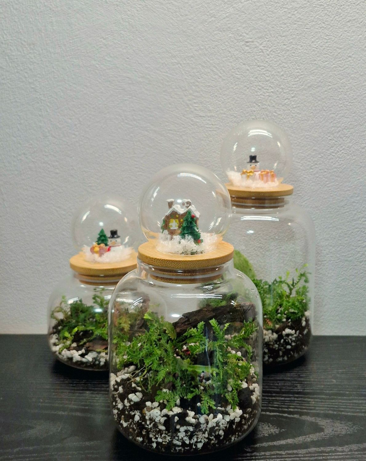 Let it Grow Bioactive Terrarium - Delicate