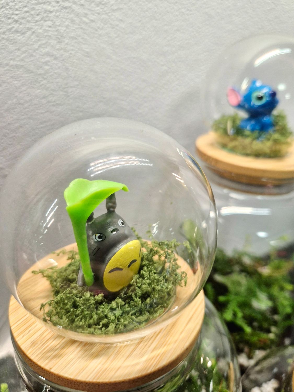 Let it Grow Bioactive Terrarium - Pocket