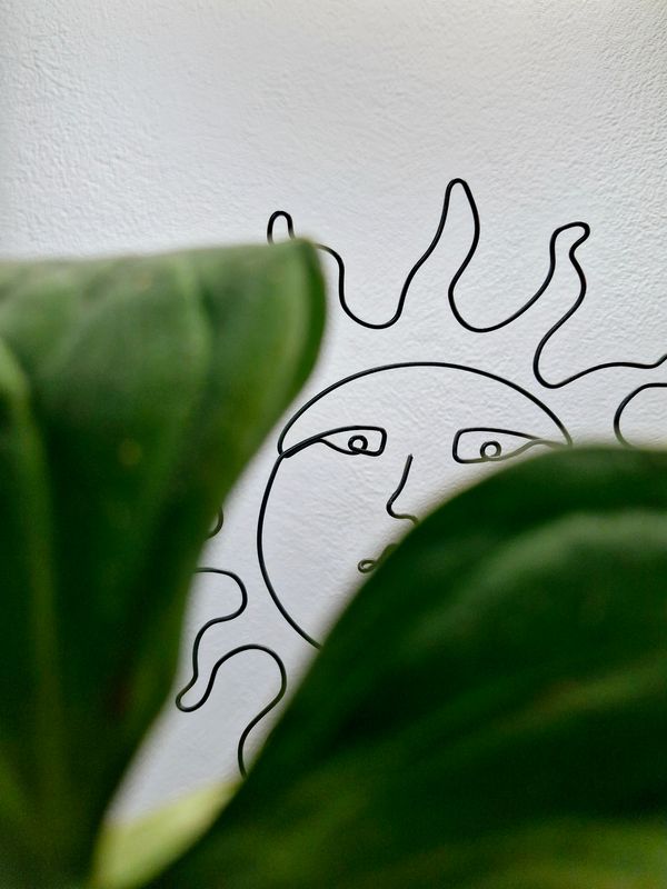 The bright side - Plant Stake
