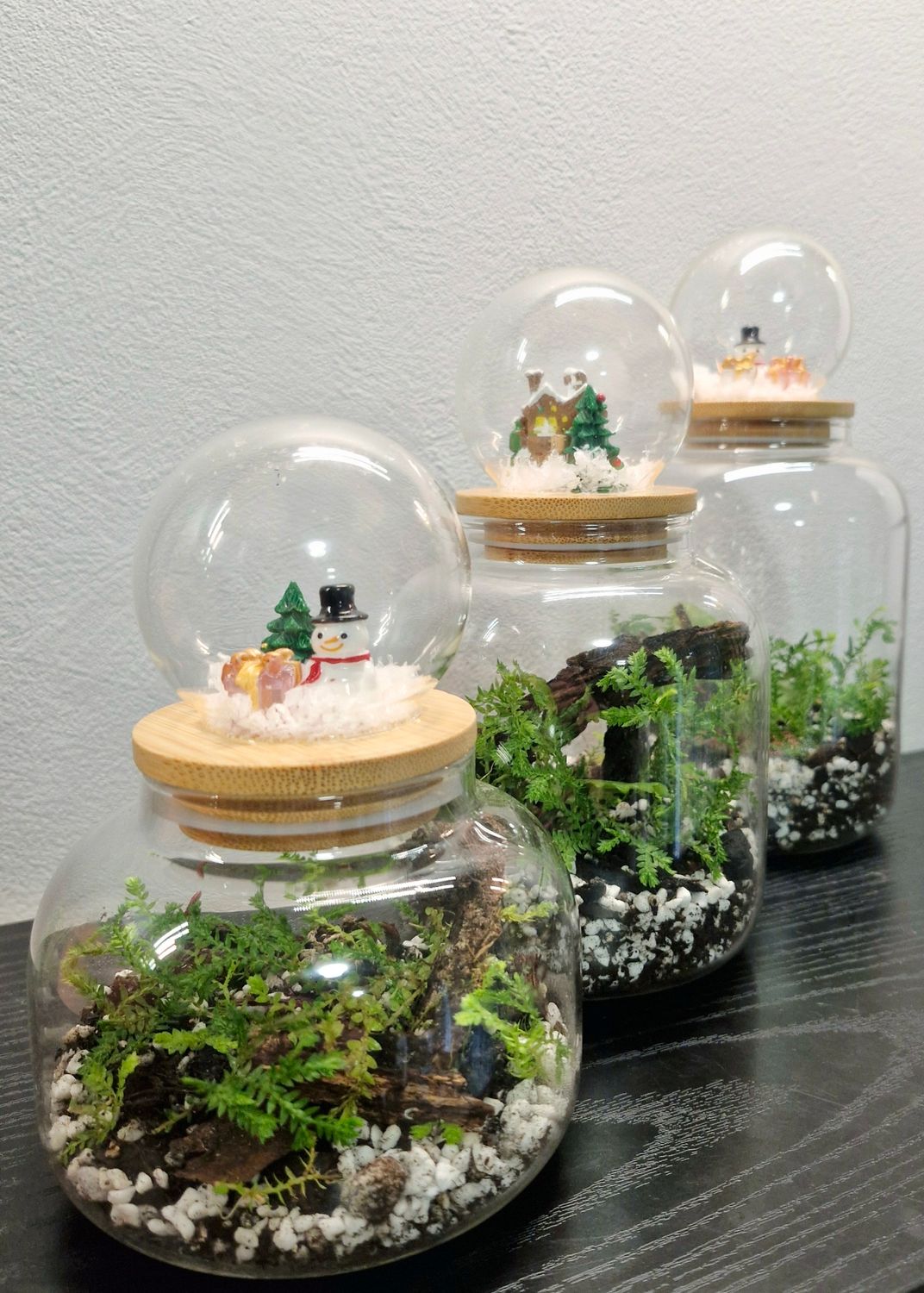 Let it Grow Bioactive Terrarium - Pocket