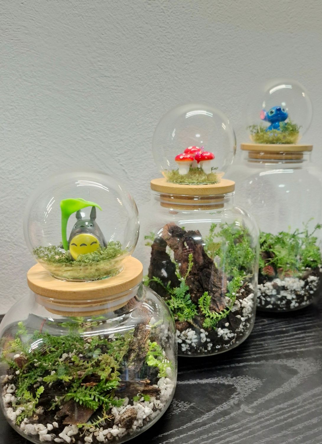 Shake it up Terrarium lids