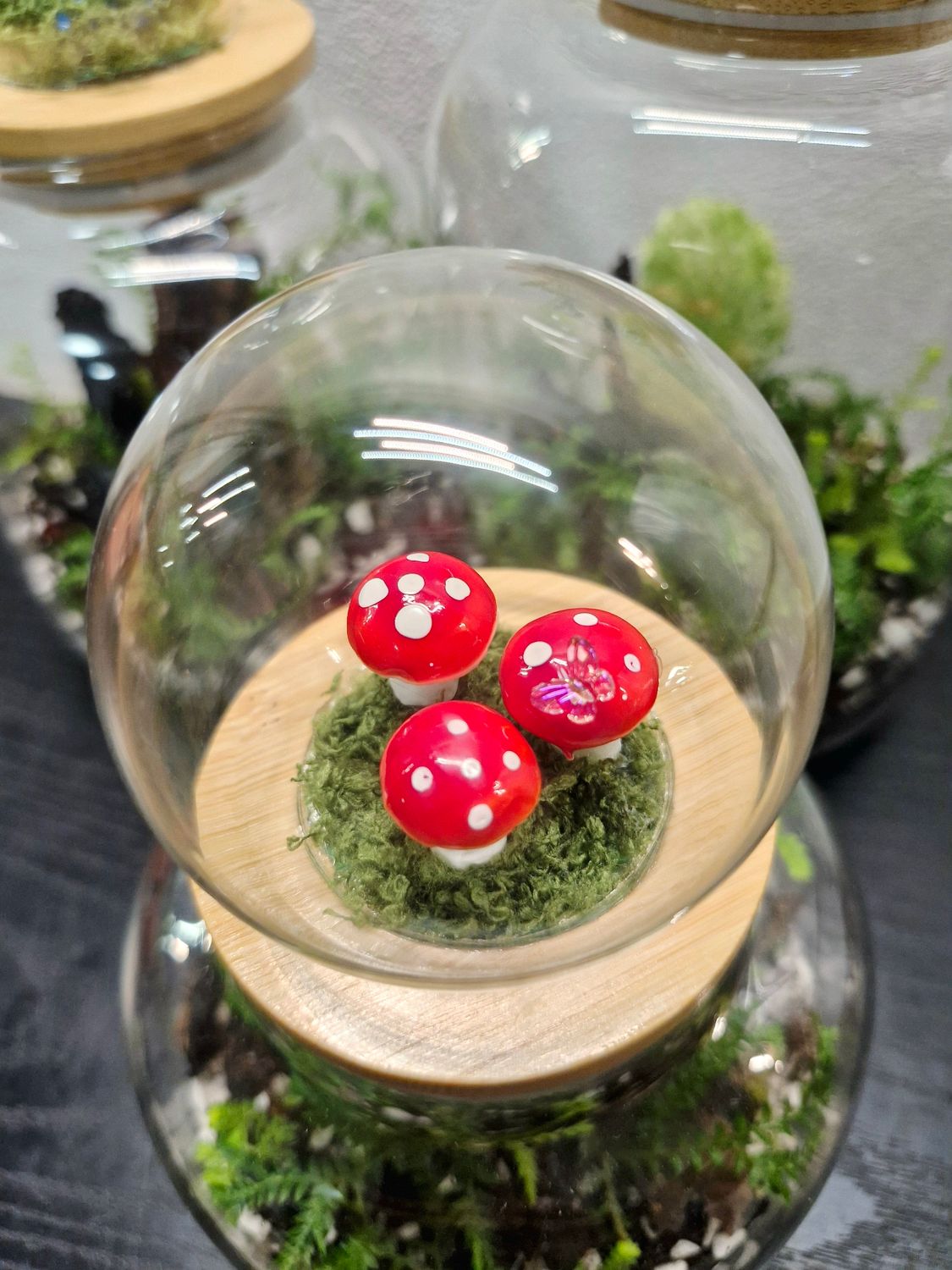 Shake it up Terrarium lids