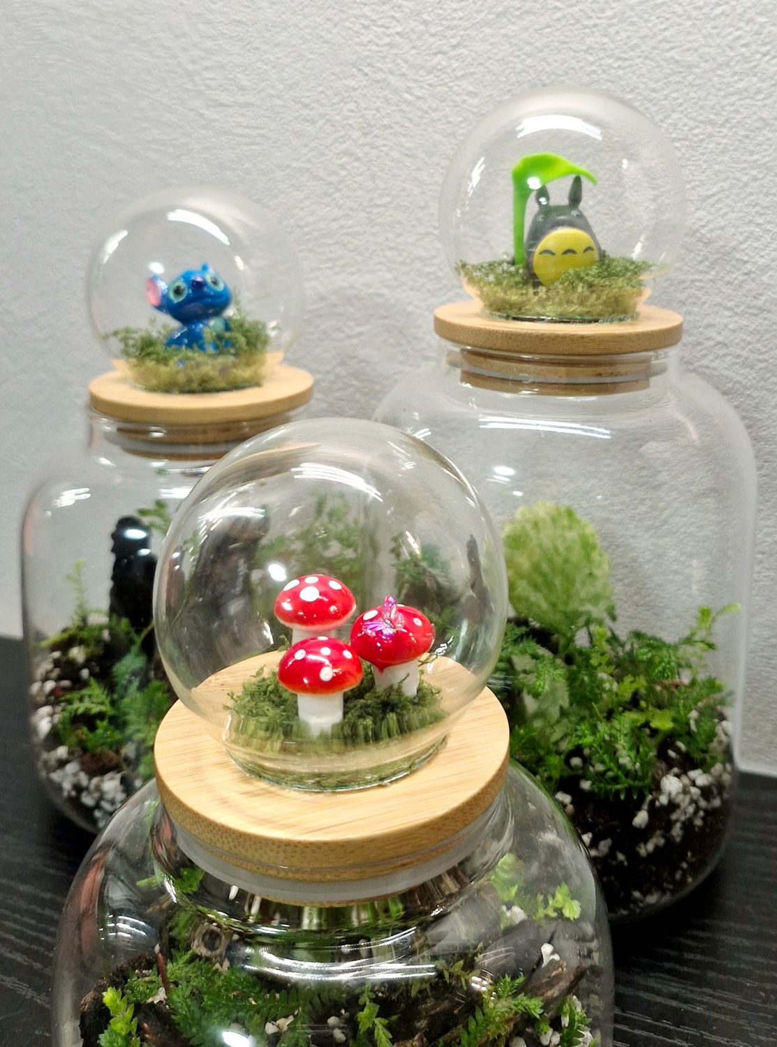 Let it Grow Bioactive Terrarium - Delicate