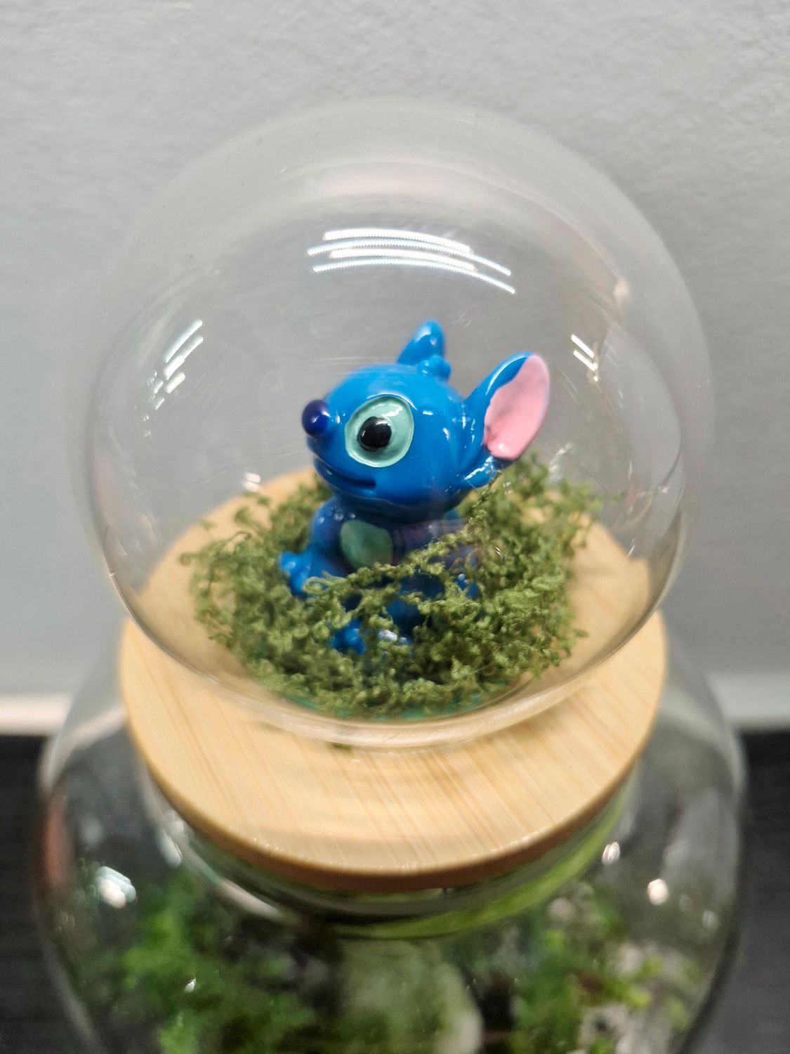 Shake it up Terrarium lids