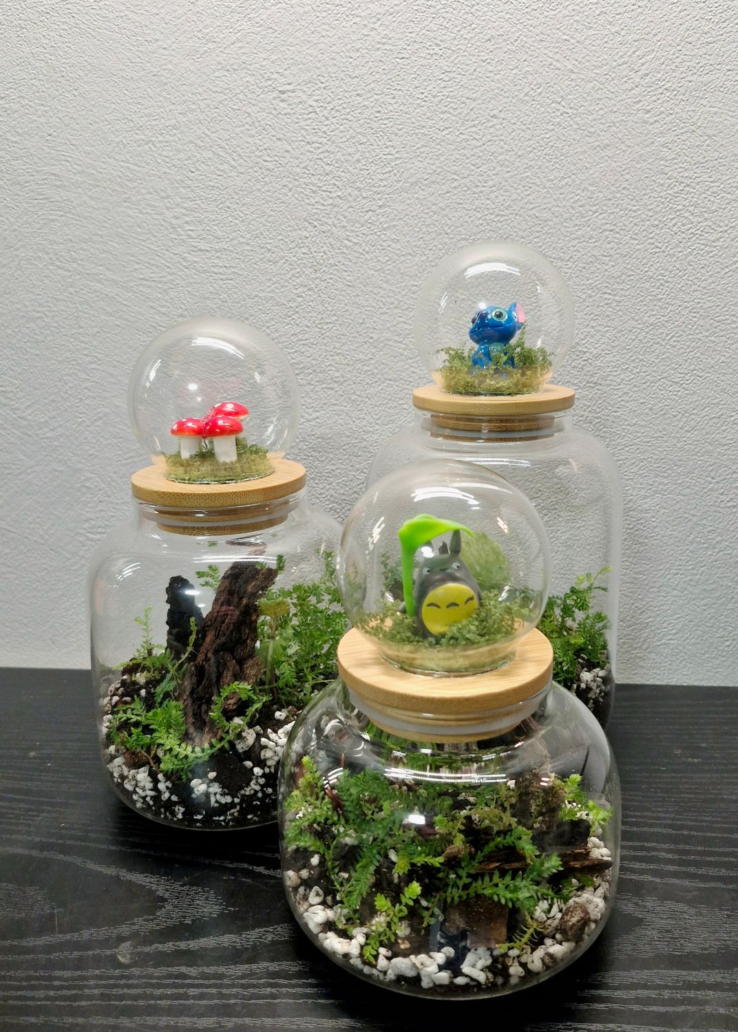 Shake it up Terrarium lids
