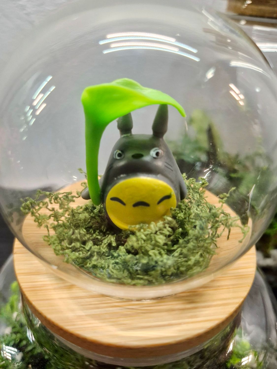 Let it Grow Bioactive Terrarium - Delicate