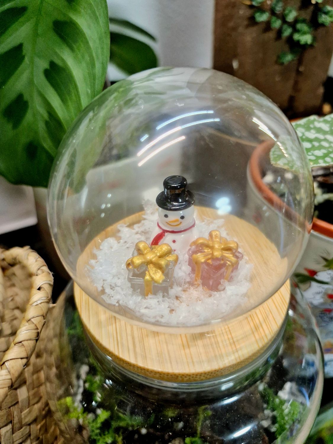 Shake it up Terrarium lids