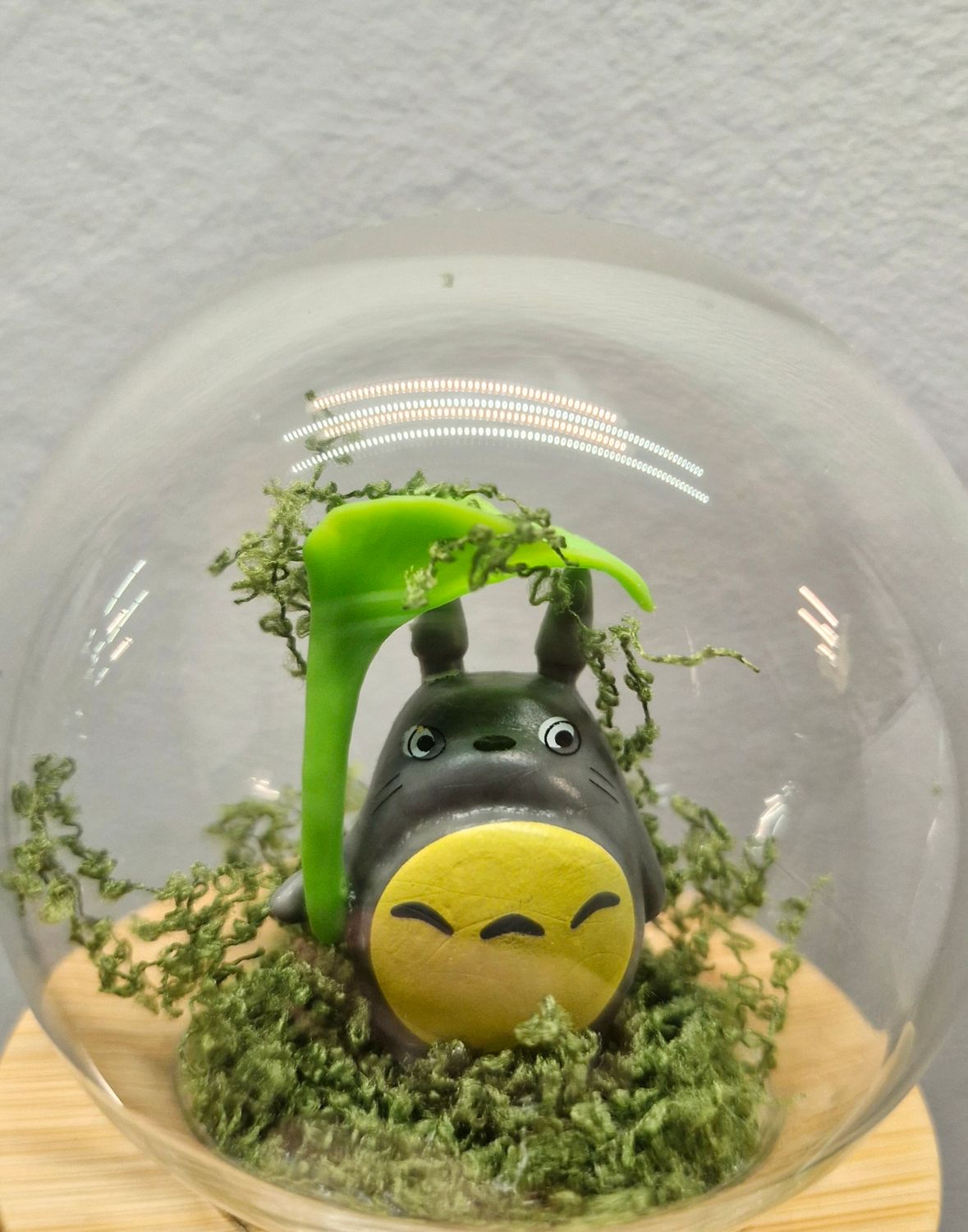 Shake it up Terrarium lids