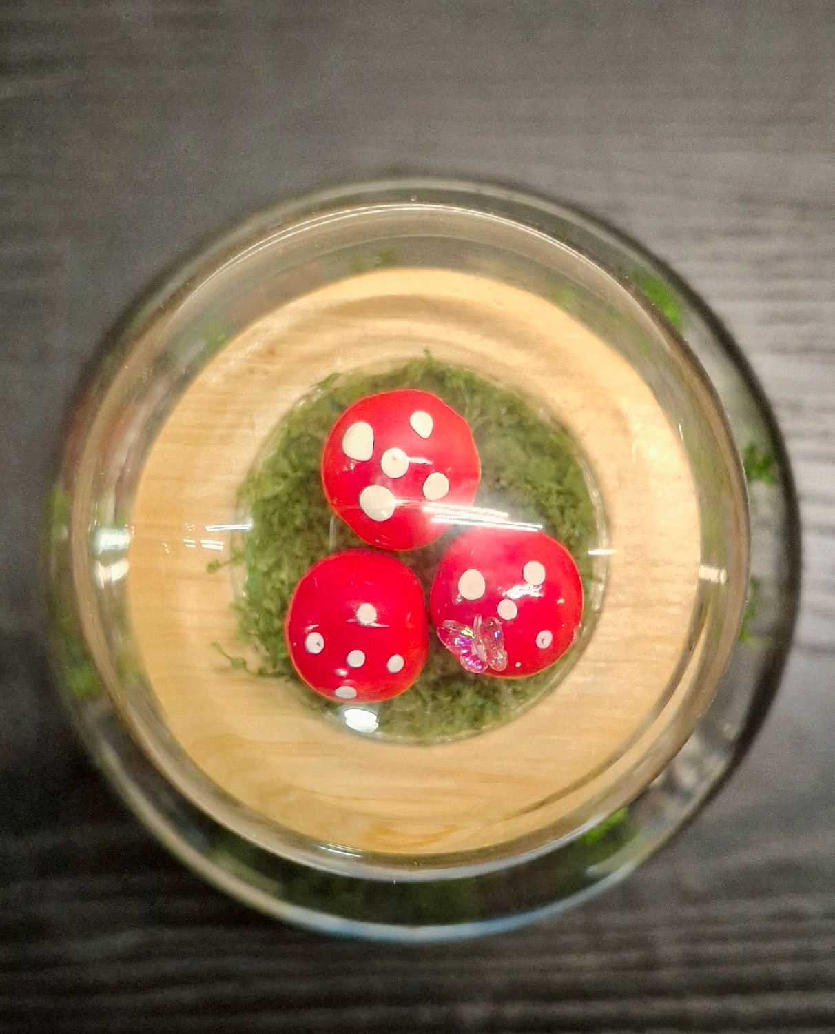 Shake it up Terrarium lids