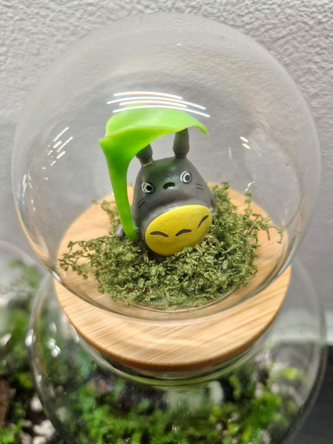 Shake it up Terrarium lids