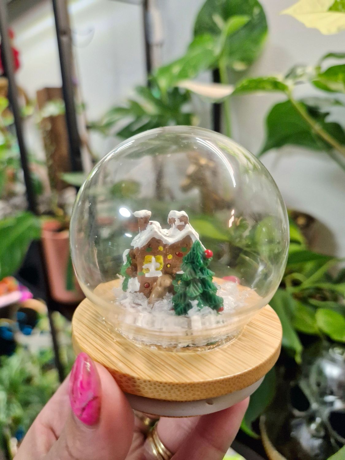 Shake it up Terrarium lids