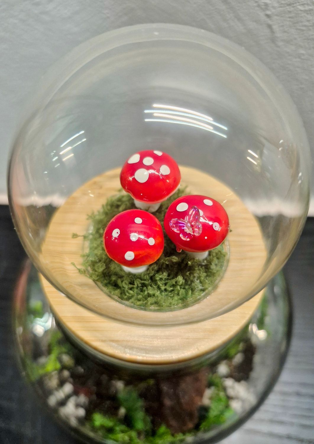 Let it GLOBE Bioactive Terrarium - Medium