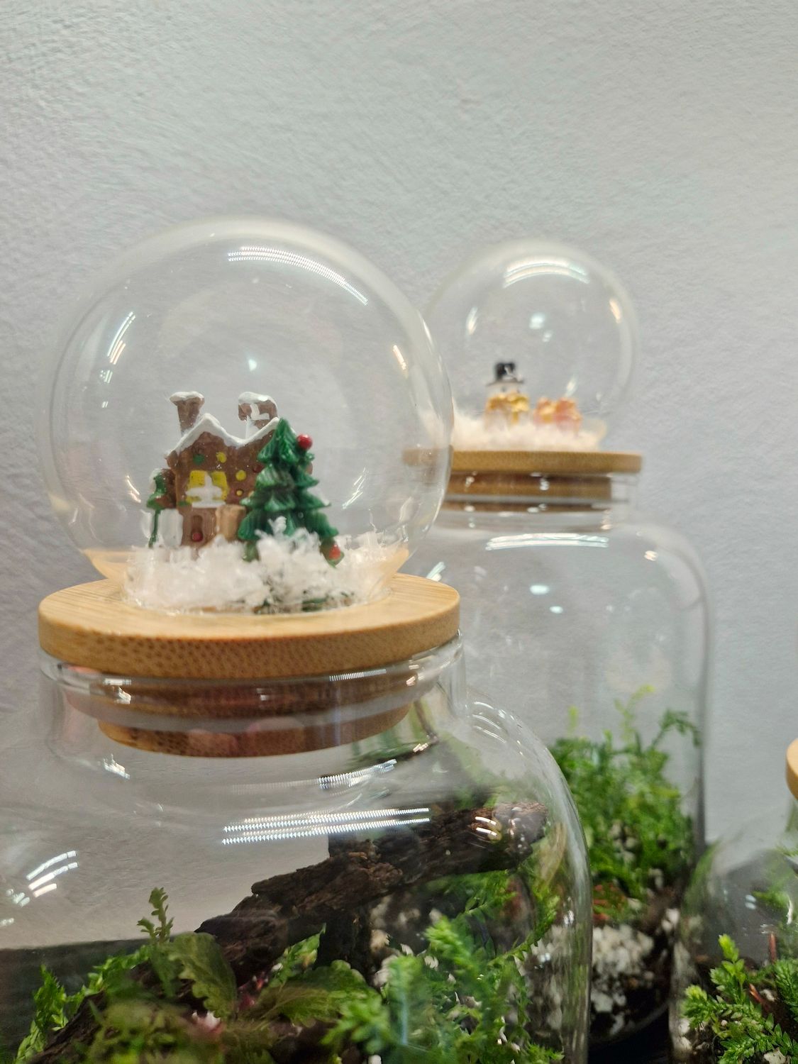Shake it up Terrarium lids